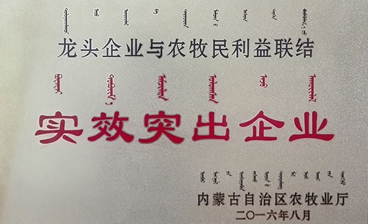 2016龍頭企業(yè)與農(nóng)牧民利益聯(lián)結(jié)突出企業(yè)