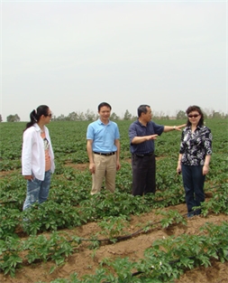 周慶鋒董事長陪同商務部產業(yè)損害調查局顧春芳局長馬鈴薯產區(qū)核查